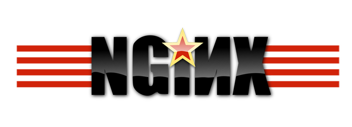 Nginx Nginx server update without compiling